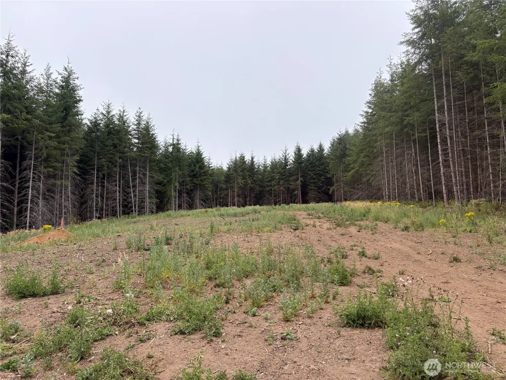 1161 Thimbleberry Drive Castle Rock, WA 98611