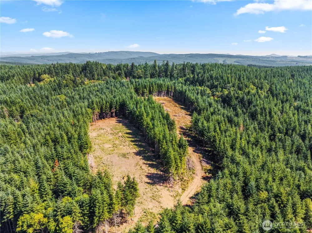 1161 Thimbleberry Drive Castle Rock, WA 98611
