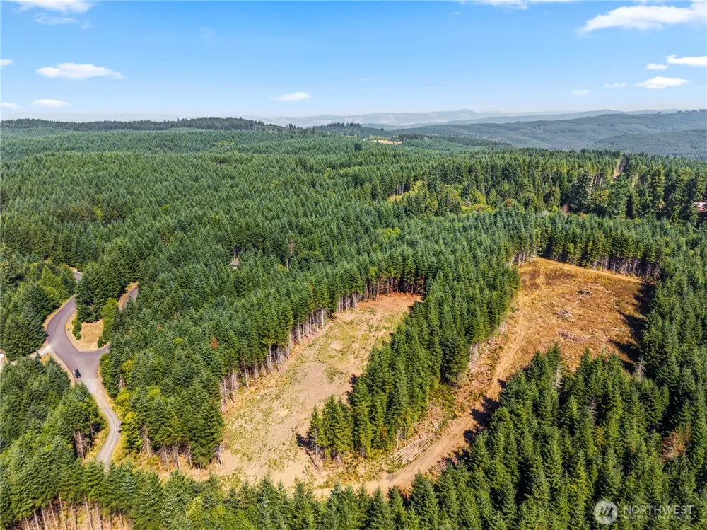 1161 Thimbleberry Drive Castle Rock, WA 98611