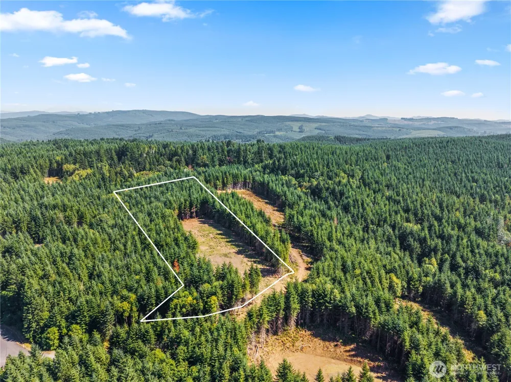 1161 Thimbleberry Drive Castle Rock, WA 98611