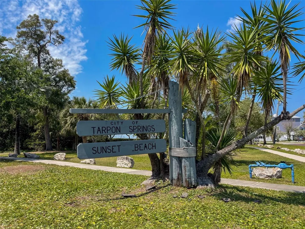 208 ATHENIAN WAY Tarpon Springs, FL 34689