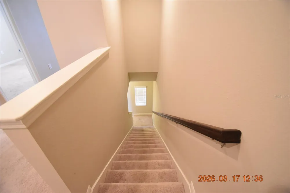 7031 WOODCHASE GLEN DRIVE #7031 Riverview, FL 33578