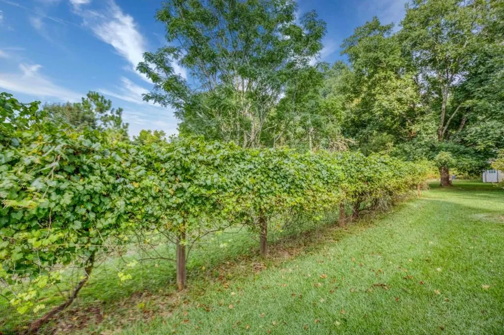 2067 Cleveland Road Bogart, GA 30622