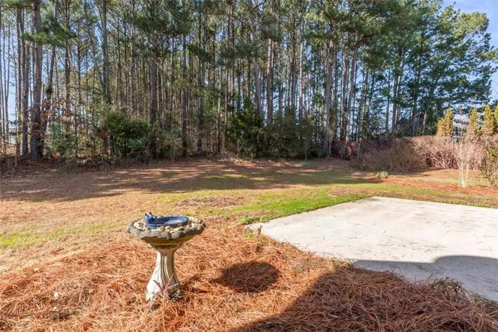 1216 McAllistar Drive Locust Grove, GA 30248