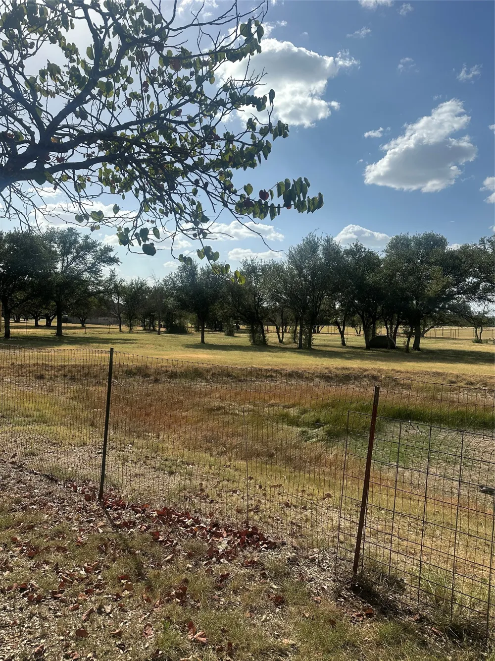 5251 FM 2126 Brownwood, TX 76801