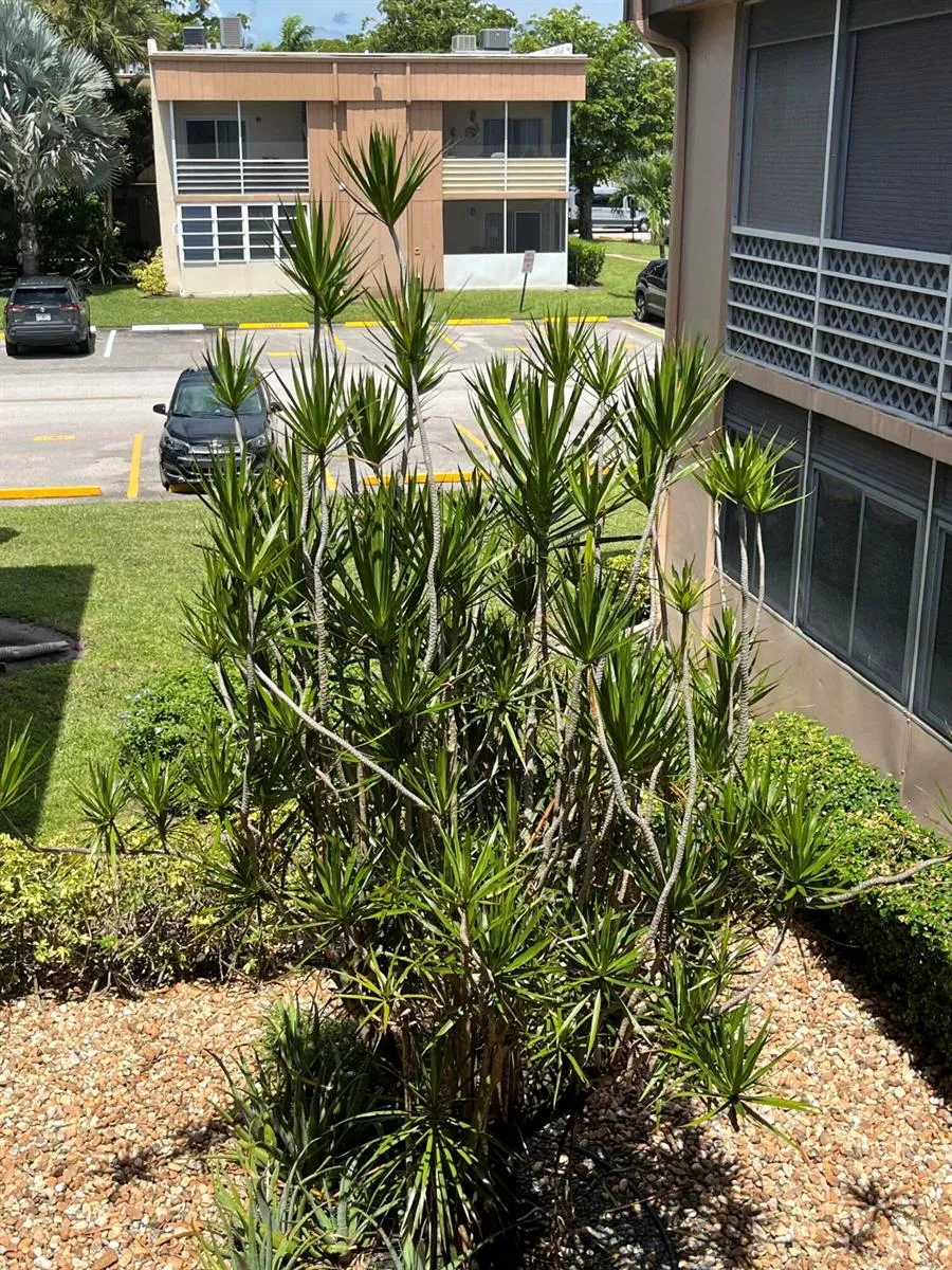 125 PIEDMONT C Delray Beach, FL 33484