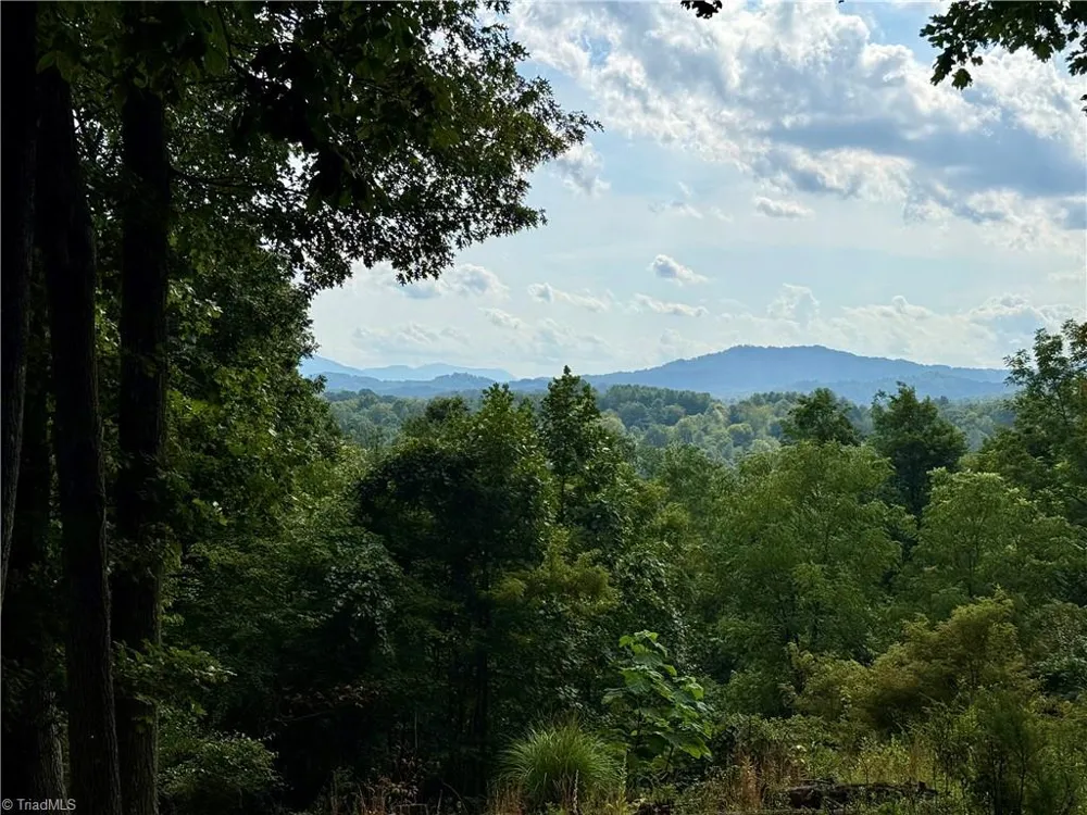 61 Lucky Hill Road Grassy Creek, NC 28631