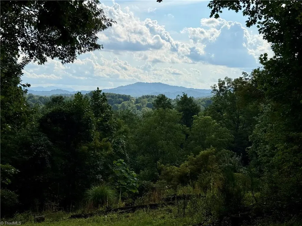 61 Lucky Hill Road Grassy Creek, NC 28631