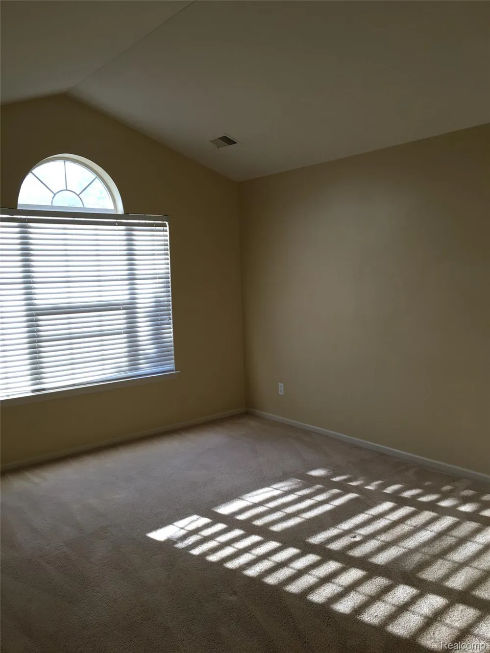 17203 Caitlin Circle Commerce Charter Township, MI 48390
