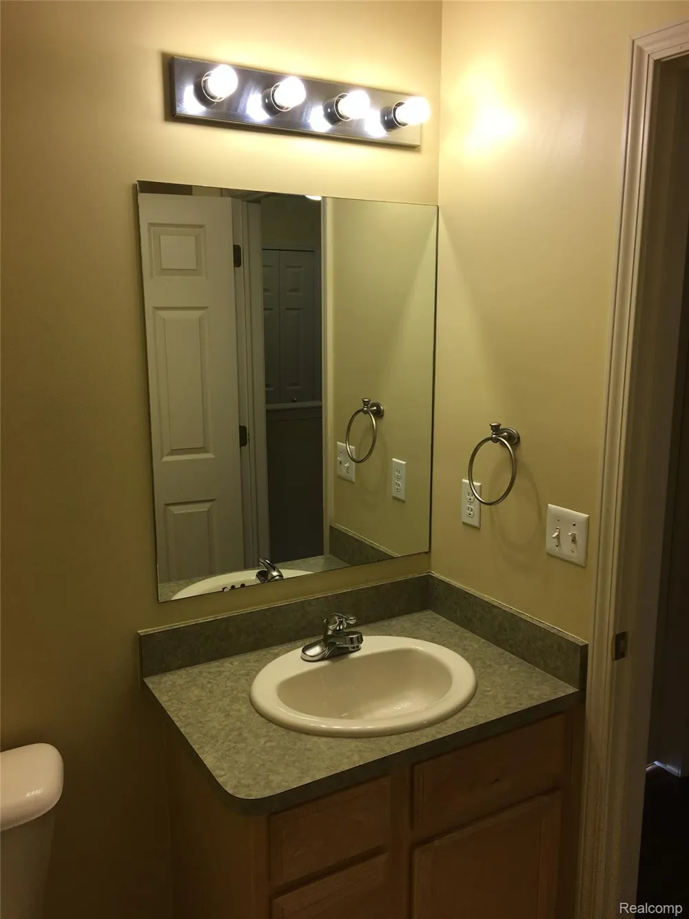 17203 Caitlin Circle Commerce Charter Township, MI 48390
