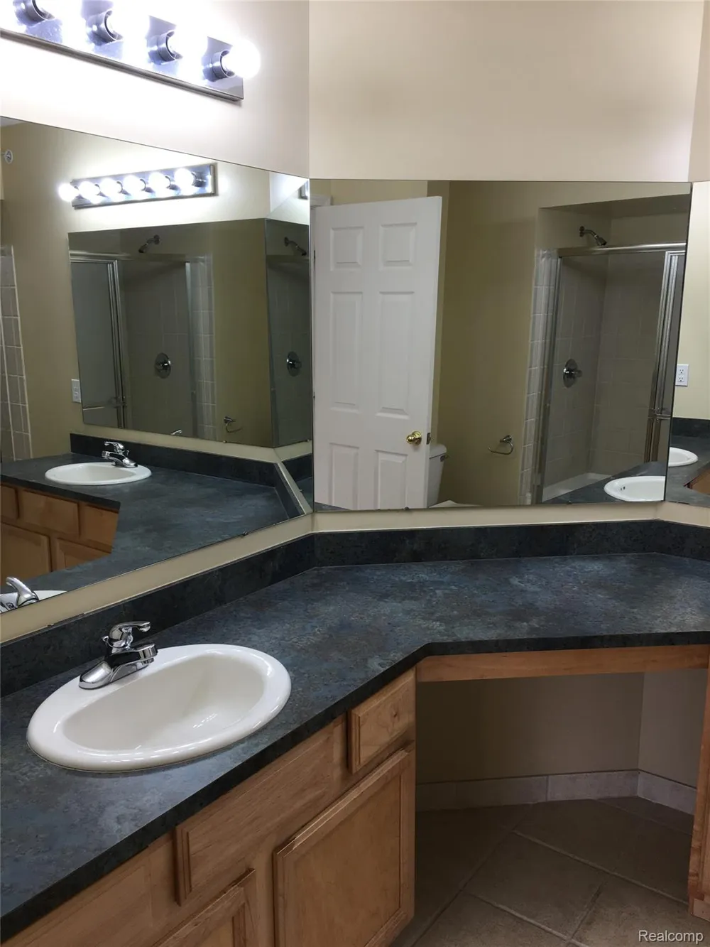 17203 Caitlin Circle Commerce Charter Township, MI 48390