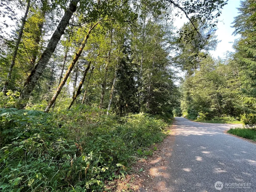 7521 Olsen Drive Glacier, WA 98244