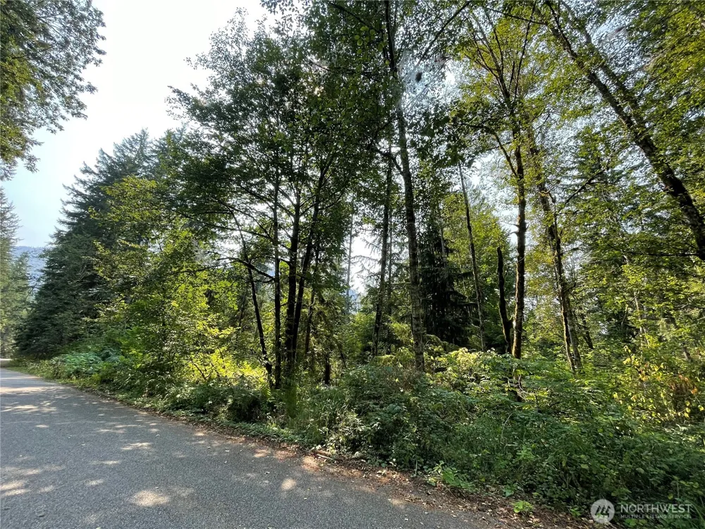 7521 Olsen Drive Glacier, WA 98244