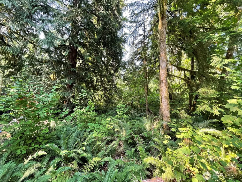 7521 Olsen Drive Glacier, WA 98244