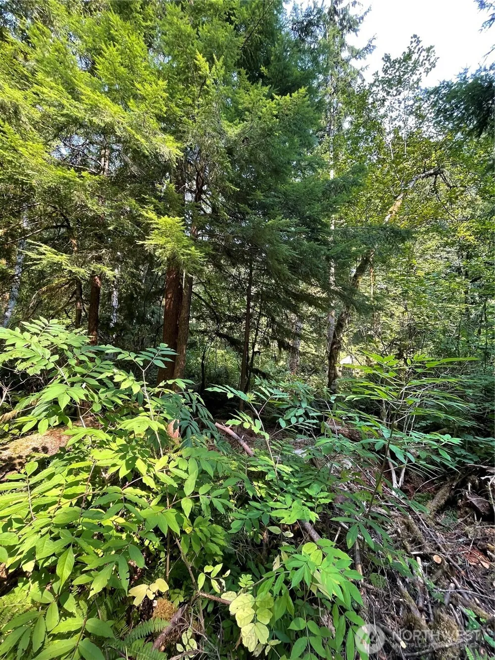 7521 Olsen Drive Glacier, WA 98244