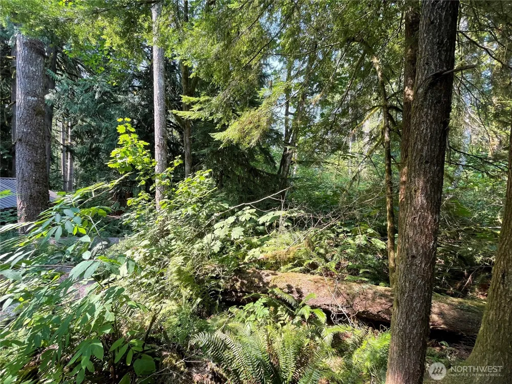 7521 Olsen Drive Glacier, WA 98244