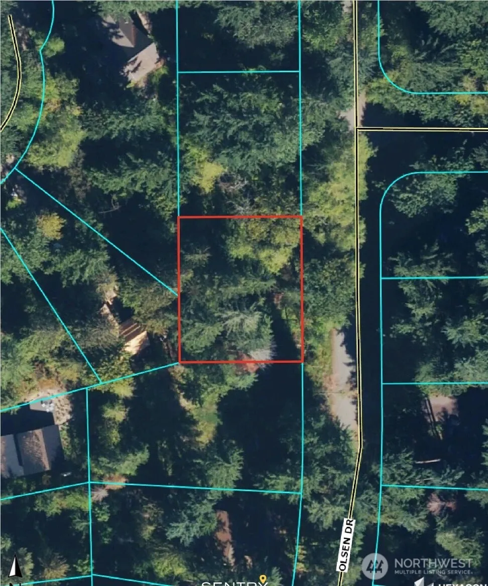 7521 Olsen Drive Glacier, WA 98244