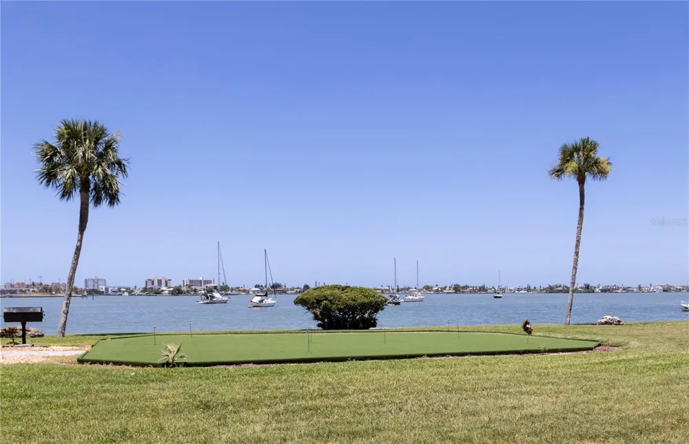 4525 COVE CIRCLE #1107 St Petersburg, FL 33708