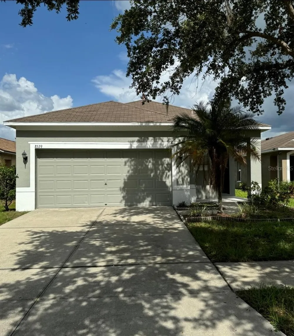 8539 DEER CHASE DRIVE Riverview, FL 33578