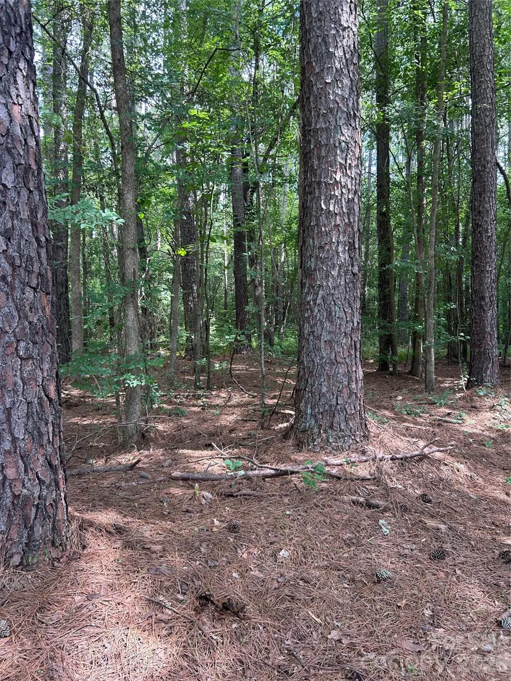 234 W Glenview Drive Salisbury, NC 28147
