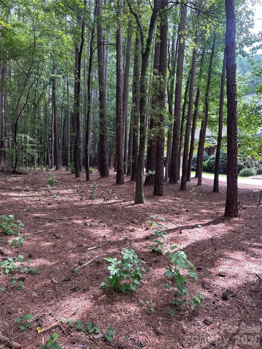 234 W Glenview Drive Salisbury, NC 28147
