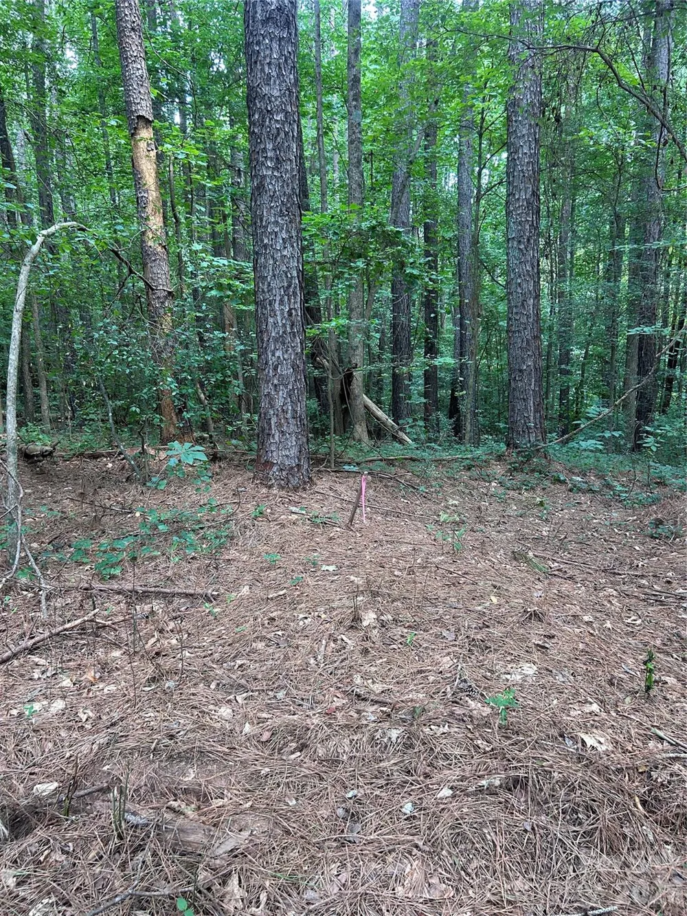 234 W Glenview Drive Salisbury, NC 28147