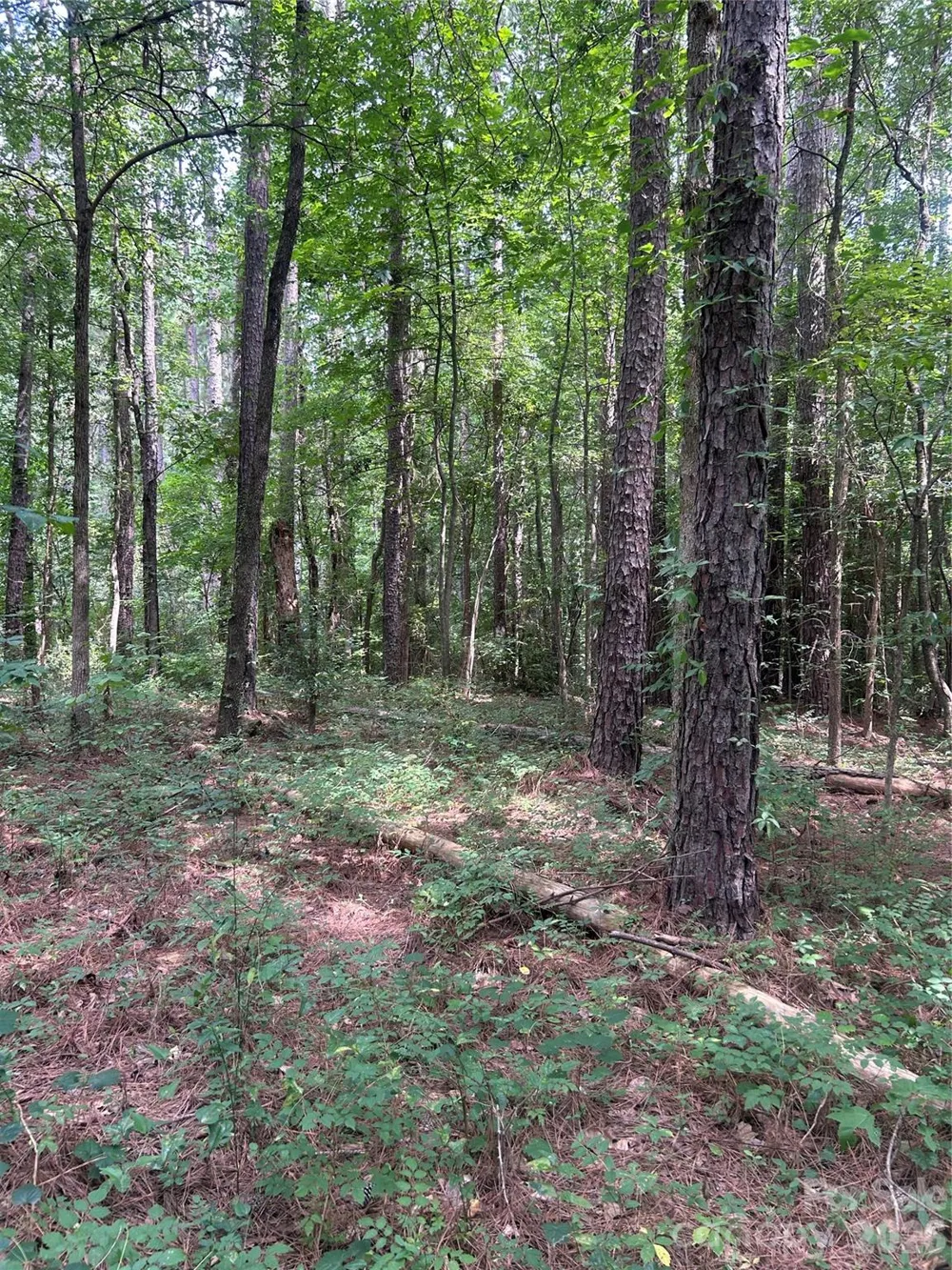 234 W Glenview Drive Salisbury, NC 28147