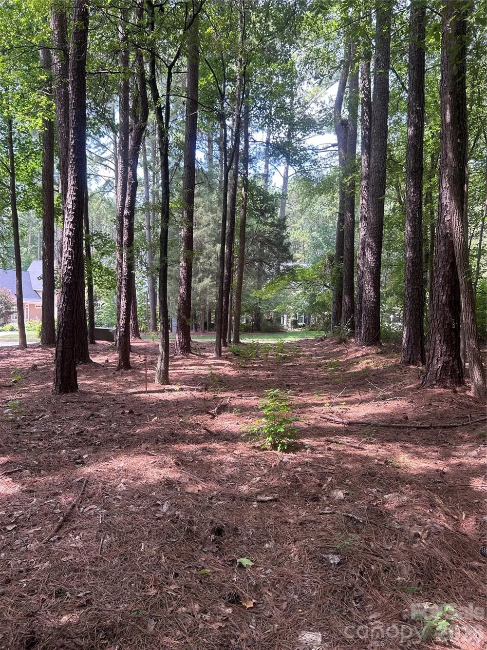 234 W Glenview Drive Salisbury, NC 28147