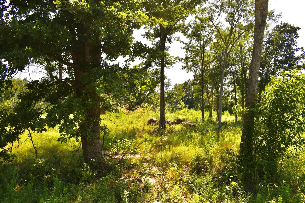 146 Jake Lane Sulphur Springs, TX 75482