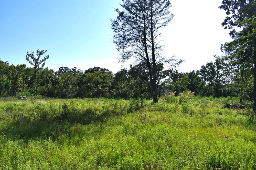 146 Jake Lane Sulphur Springs, TX 75482