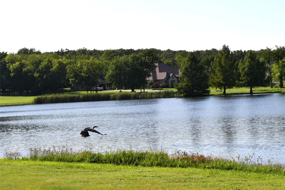 146 Jake Lane Sulphur Springs, TX 75482