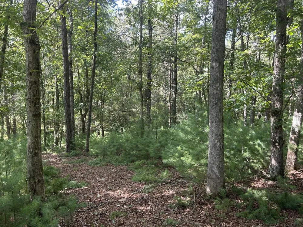 Lt 62 Harmony Way Morganton, GA 30560