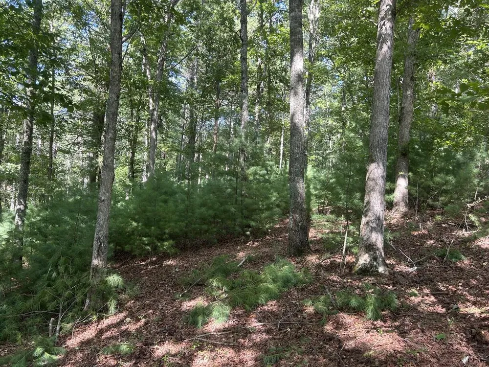 Lt 62 Harmony Way Morganton, GA 30560