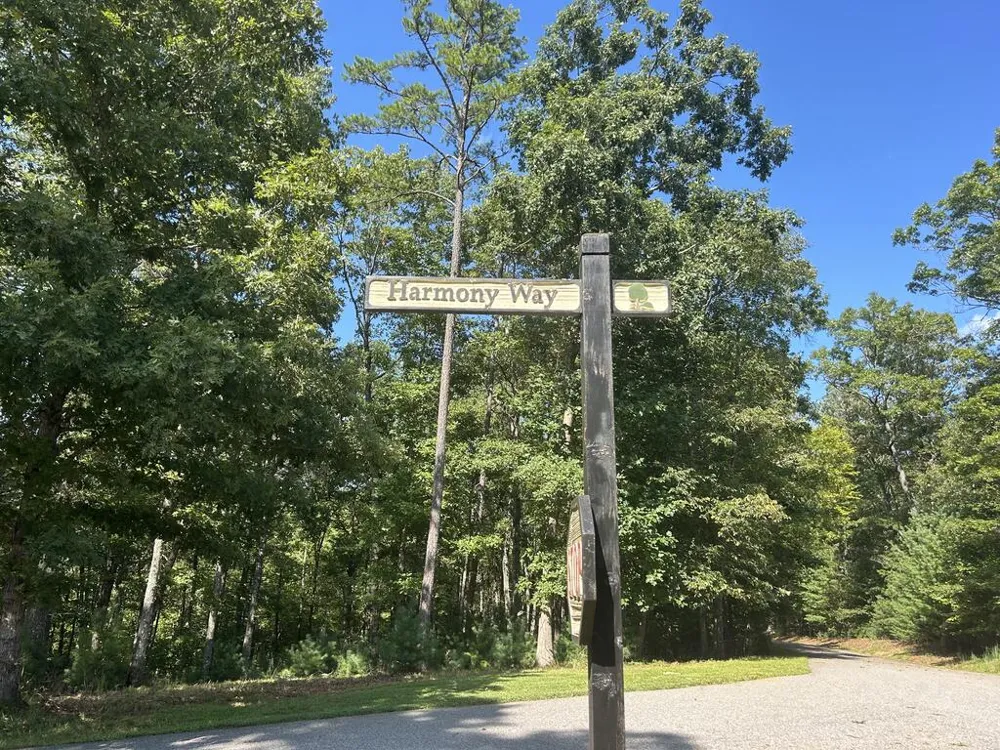 Lt 62 Harmony Way Morganton, GA 30560