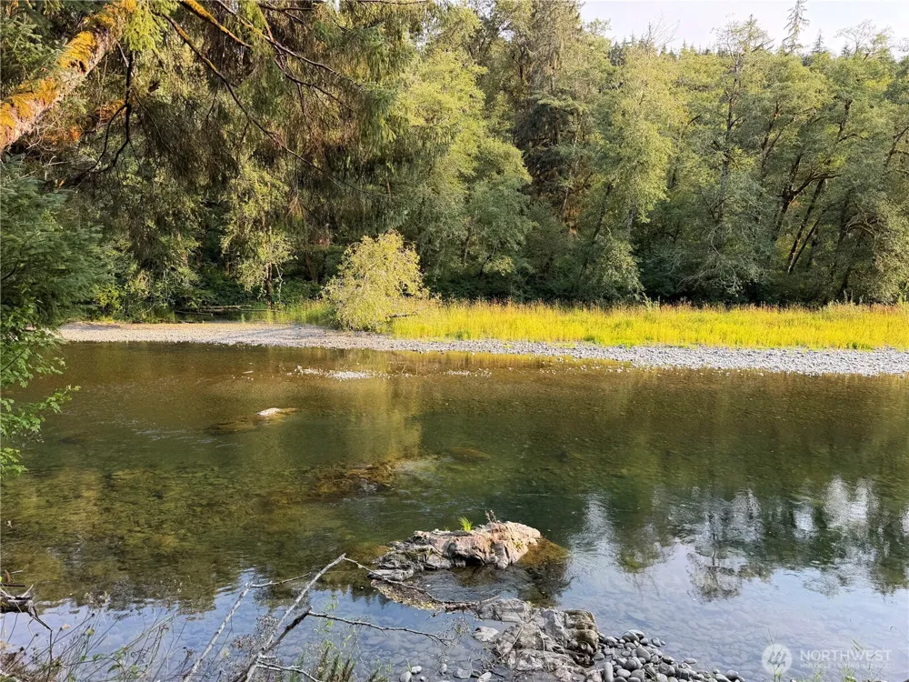 9999 Pleasant Meadows Lane Beaver, WA 98305