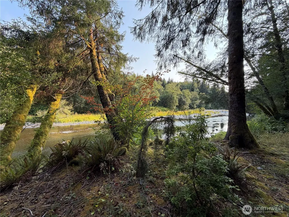 9999 Pleasant Meadows Lane Beaver, WA 98305