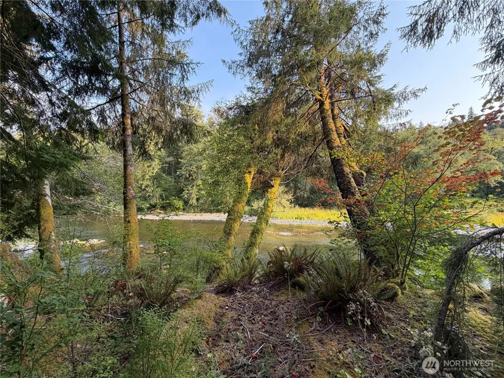 9999 Pleasant Meadows Lane Beaver, WA 98305