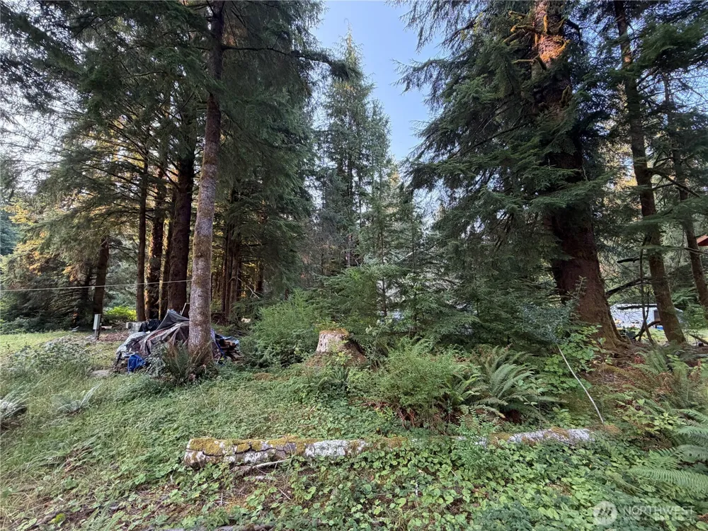 9999 Pleasant Meadows Lane Beaver, WA 98305