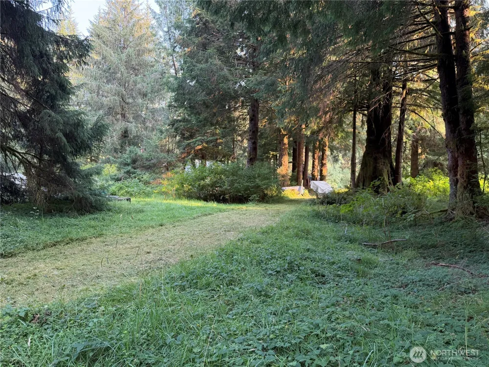 9999 Pleasant Meadows Lane Beaver, WA 98305