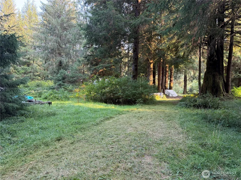 9999 Pleasant Meadows Lane Beaver, WA 98305
