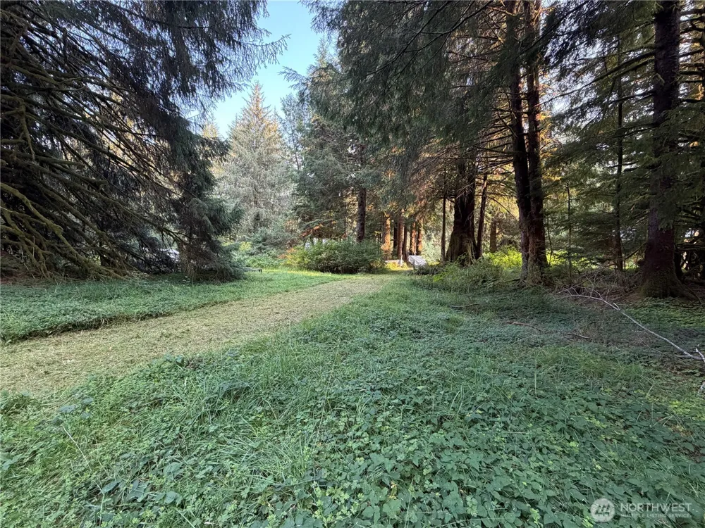 9999 Pleasant Meadows Lane Beaver, WA 98305