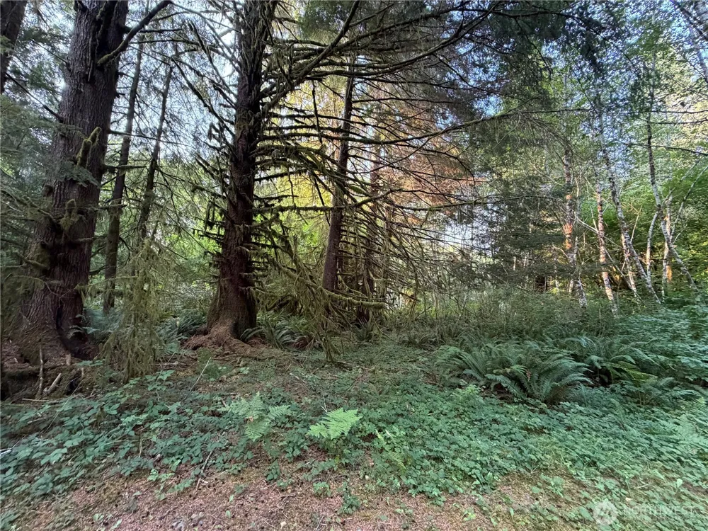 9999 Pleasant Meadows Lane Beaver, WA 98305