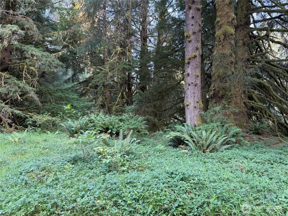 9999 Pleasant Meadows Lane Beaver, WA 98305