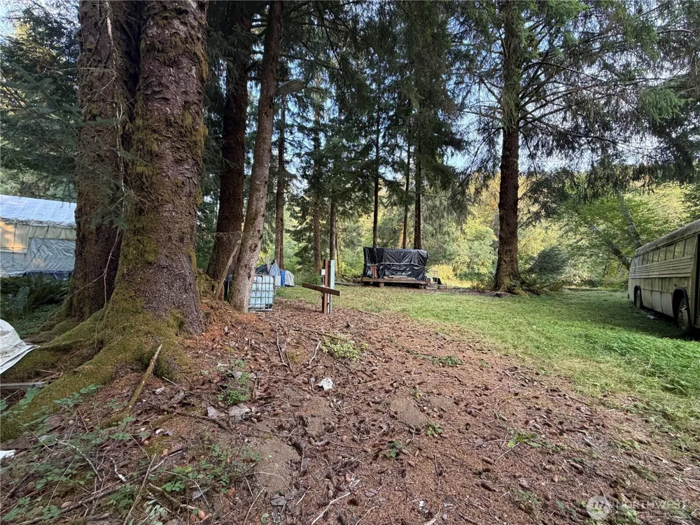 9999 Pleasant Meadows Lane Beaver, WA 98305