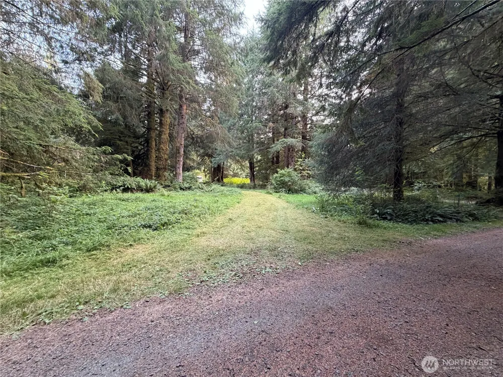 9999 Pleasant Meadows Lane Beaver, WA 98305