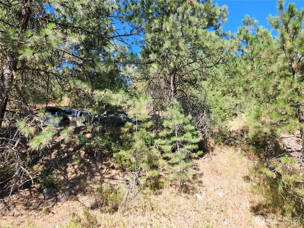 0 Lot 1 Klondike Road Republic, WA 99166