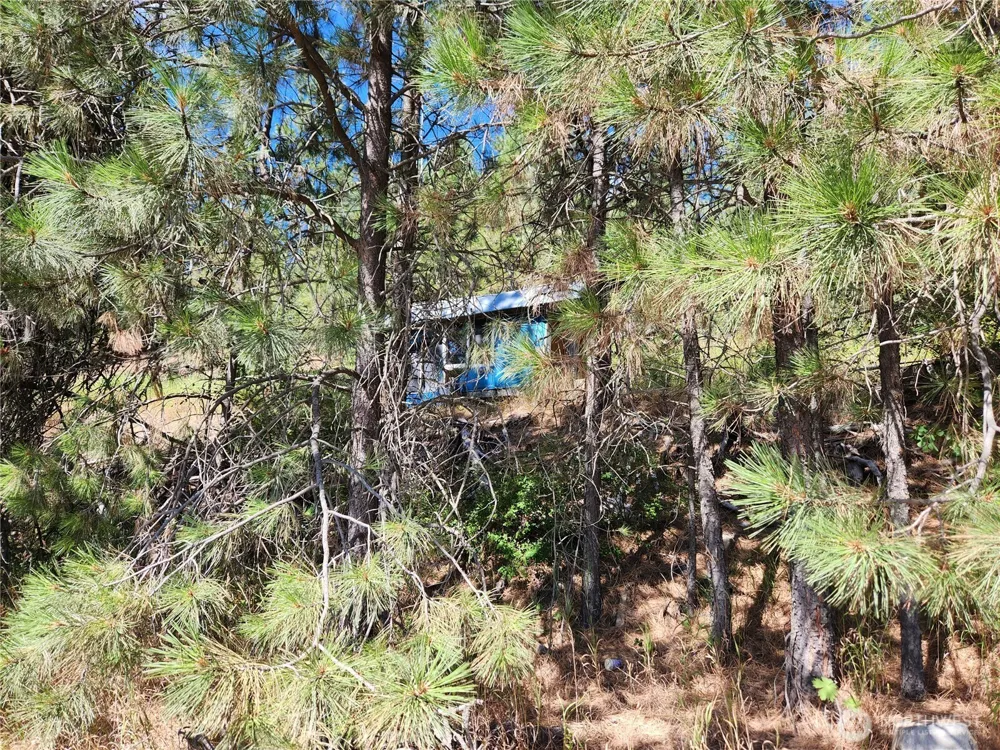 0 Lot 1 Klondike Road Republic, WA 99166