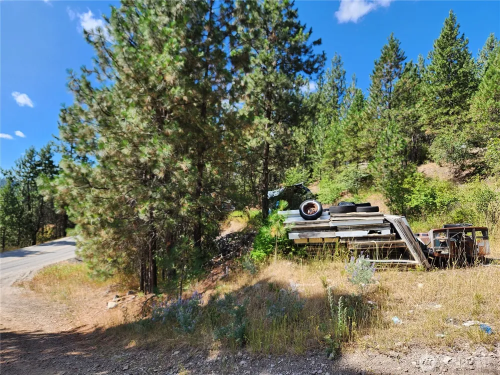 0 Lot 1 Klondike Road Republic, WA 99166
