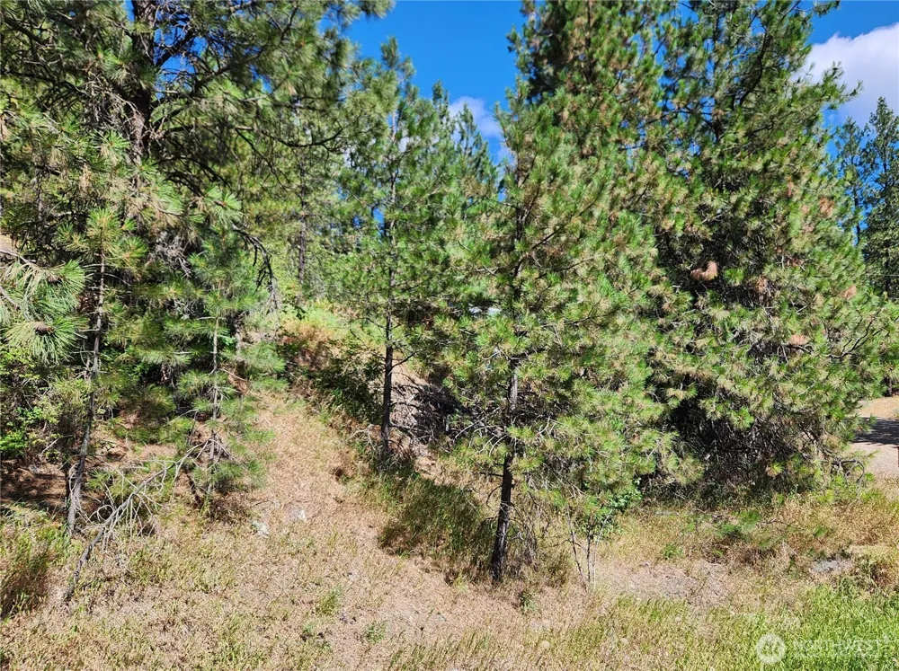 0 Lot 1 Klondike Road Republic, WA 99166
