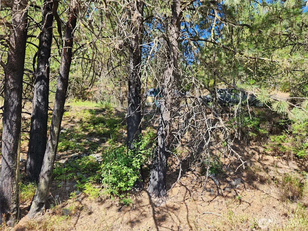 0 Lot 1 Klondike Road Republic, WA 99166